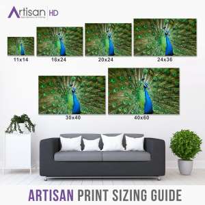 Frequently Asked Printing Questions Size Guide for HD Photograph