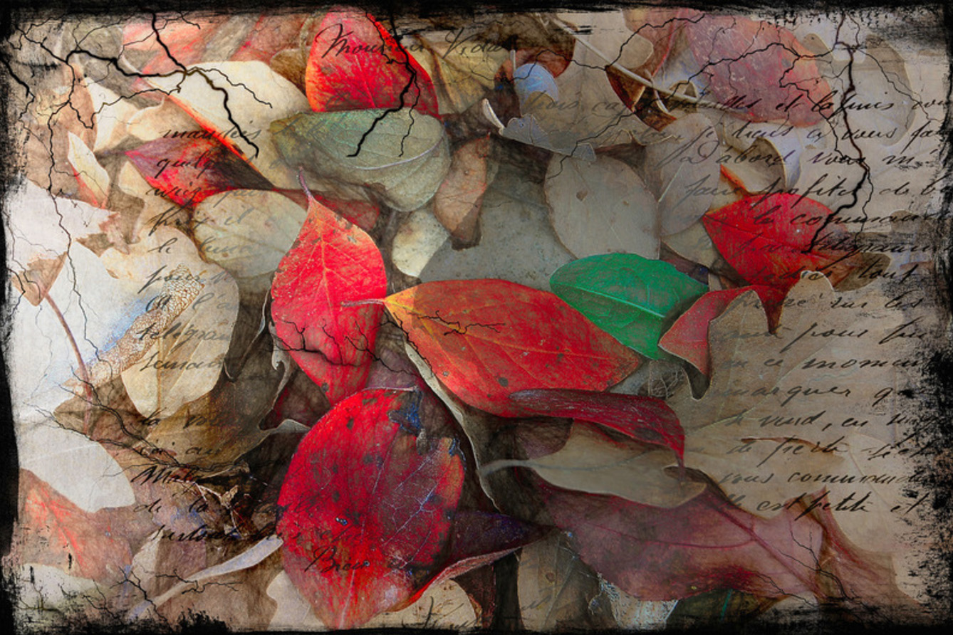 spectacular digital art prints by Light Seeker: Autumn glory