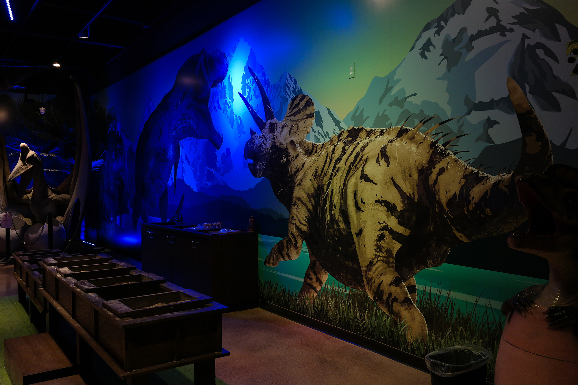 custom wall graphics triceratops