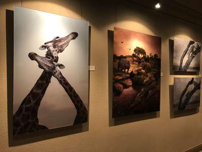2019 Arizona for Africa charity art auction 1