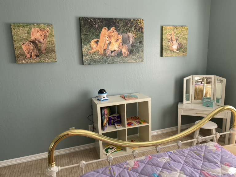 Semi gloss Canvas Lindsley Project cubs in Kenya 1